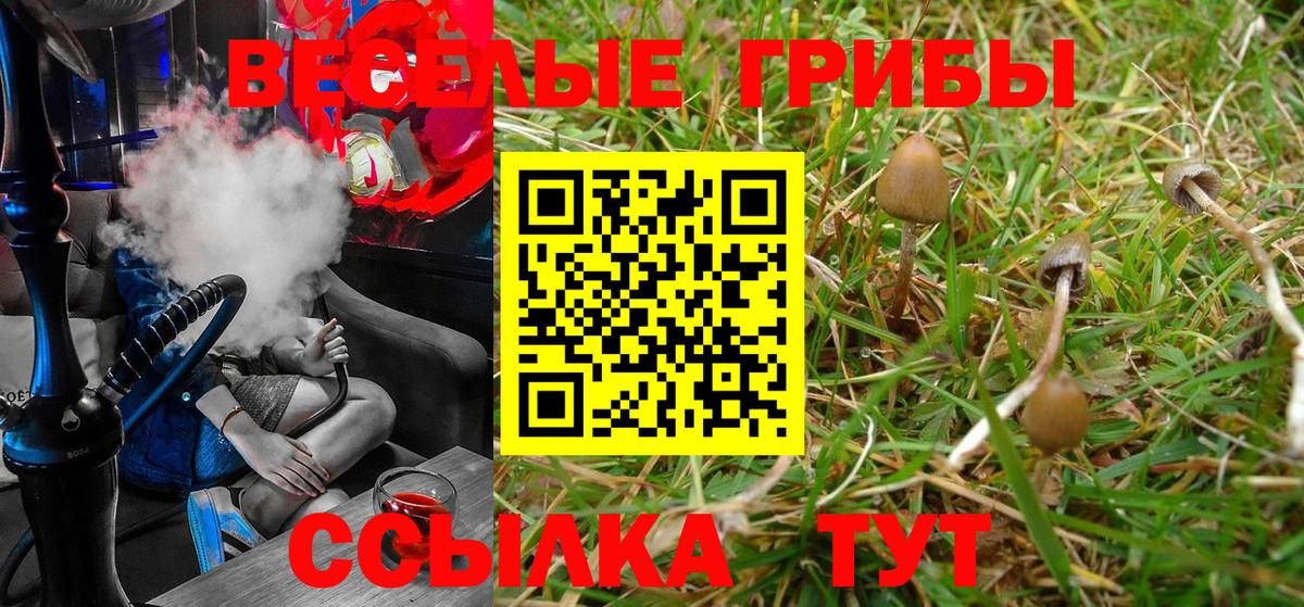 Мыски  Галлюциногенные грибы GOLDEN TEACHER  Вход с VPN 